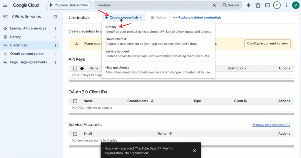Step 12: Click on "Create Credentials" and select "API Key".