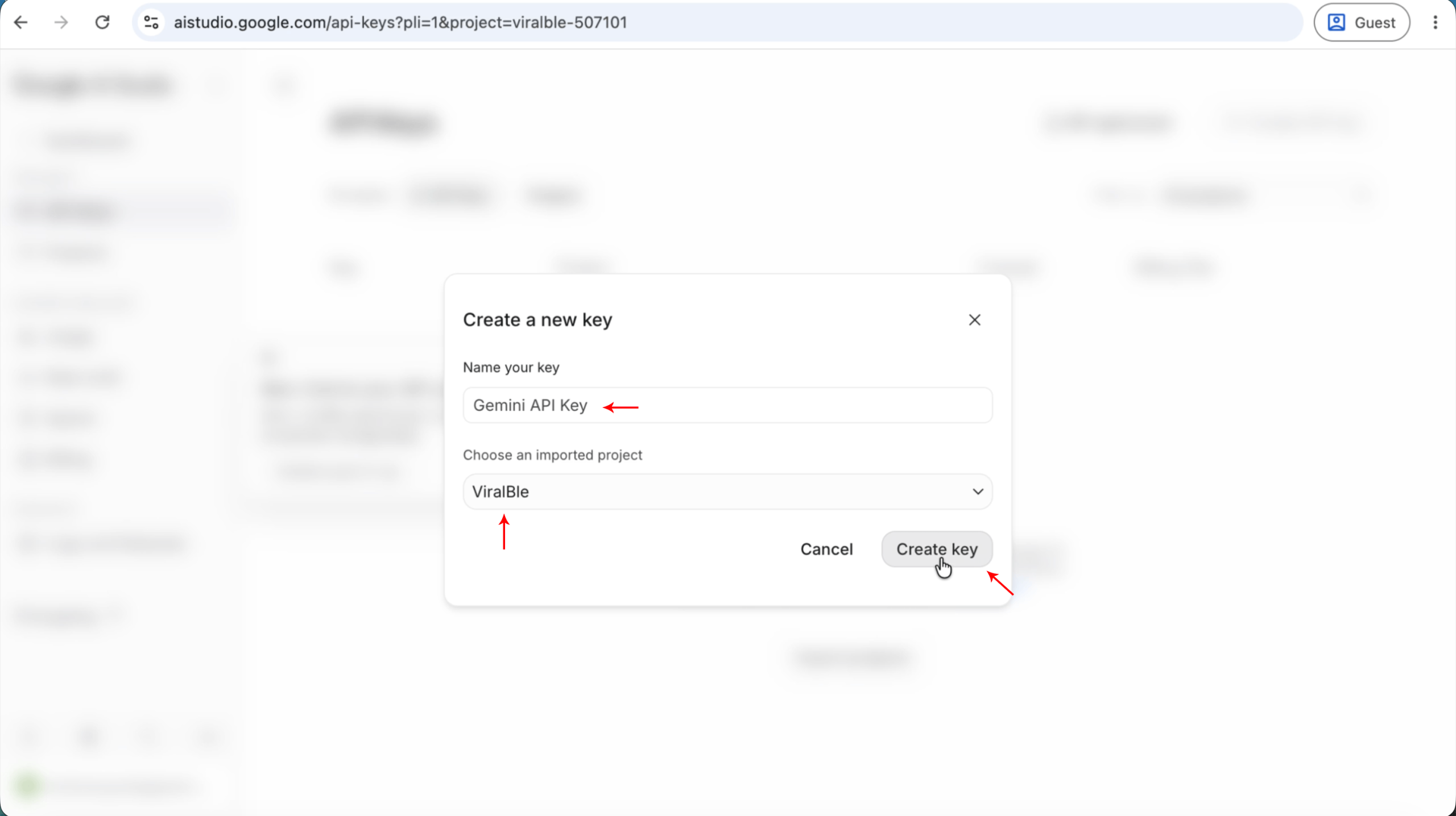 Step 13: Create a New Google AI Studio (Gemini) API Key