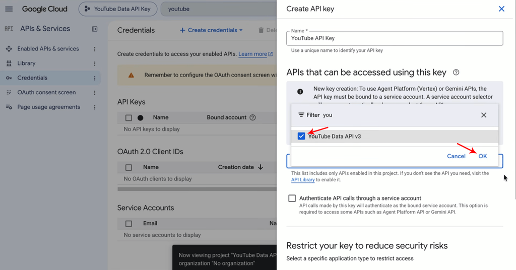 Step 14: Select "YouTube Data API v3" and click "OK".