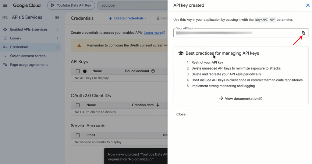 Step 16: Copy your YouTube Data API Key
