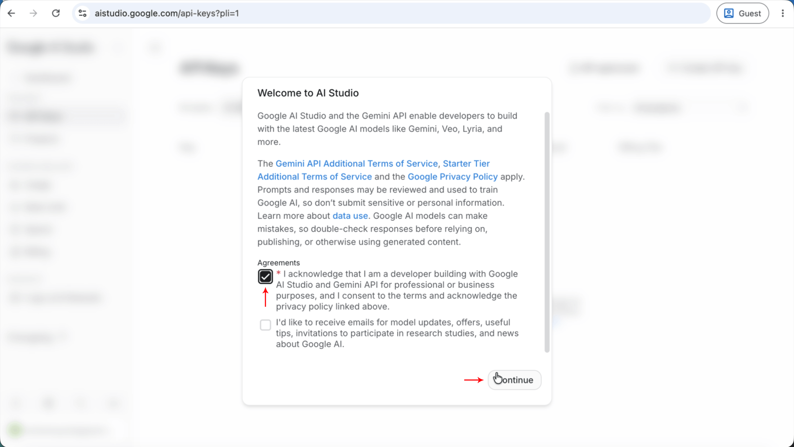 Step 3: Accept Google AI Studio's Terms of Service