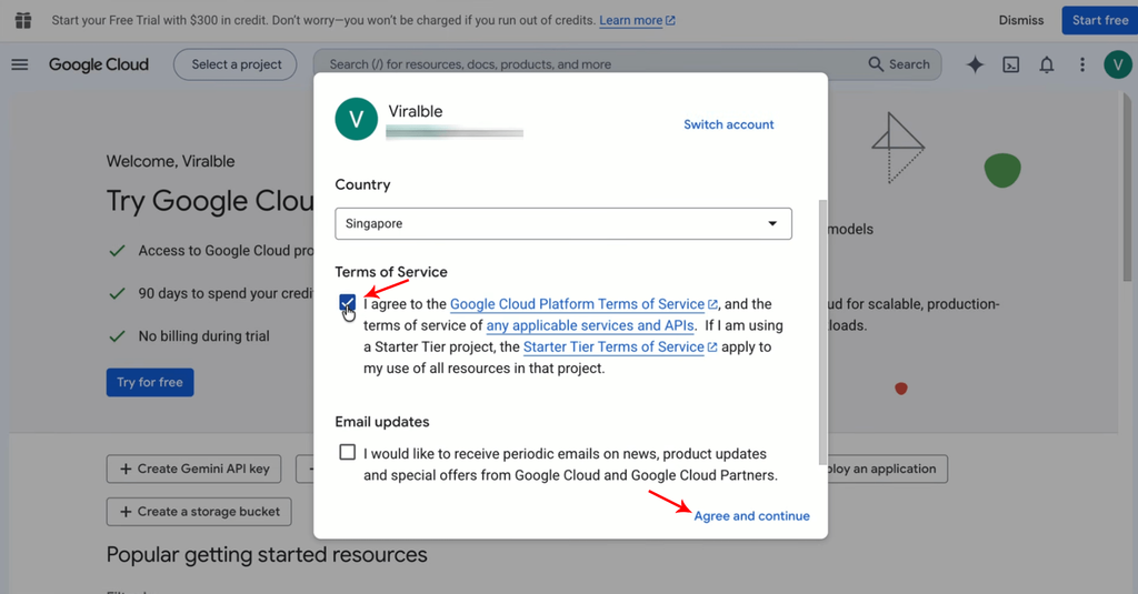 Step 4: Agree to Google Cloud Console Terms of Service