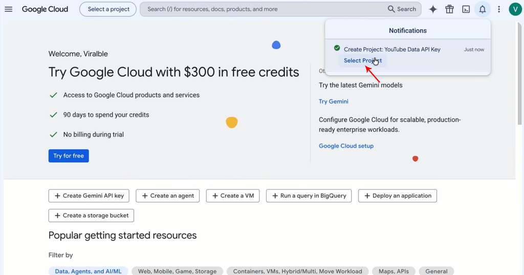 Step 7: Select the newly created project