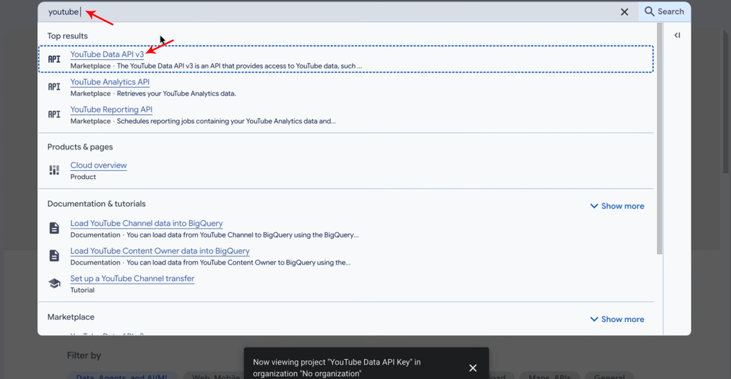 Step 9: Search and select YouTube Data API v3